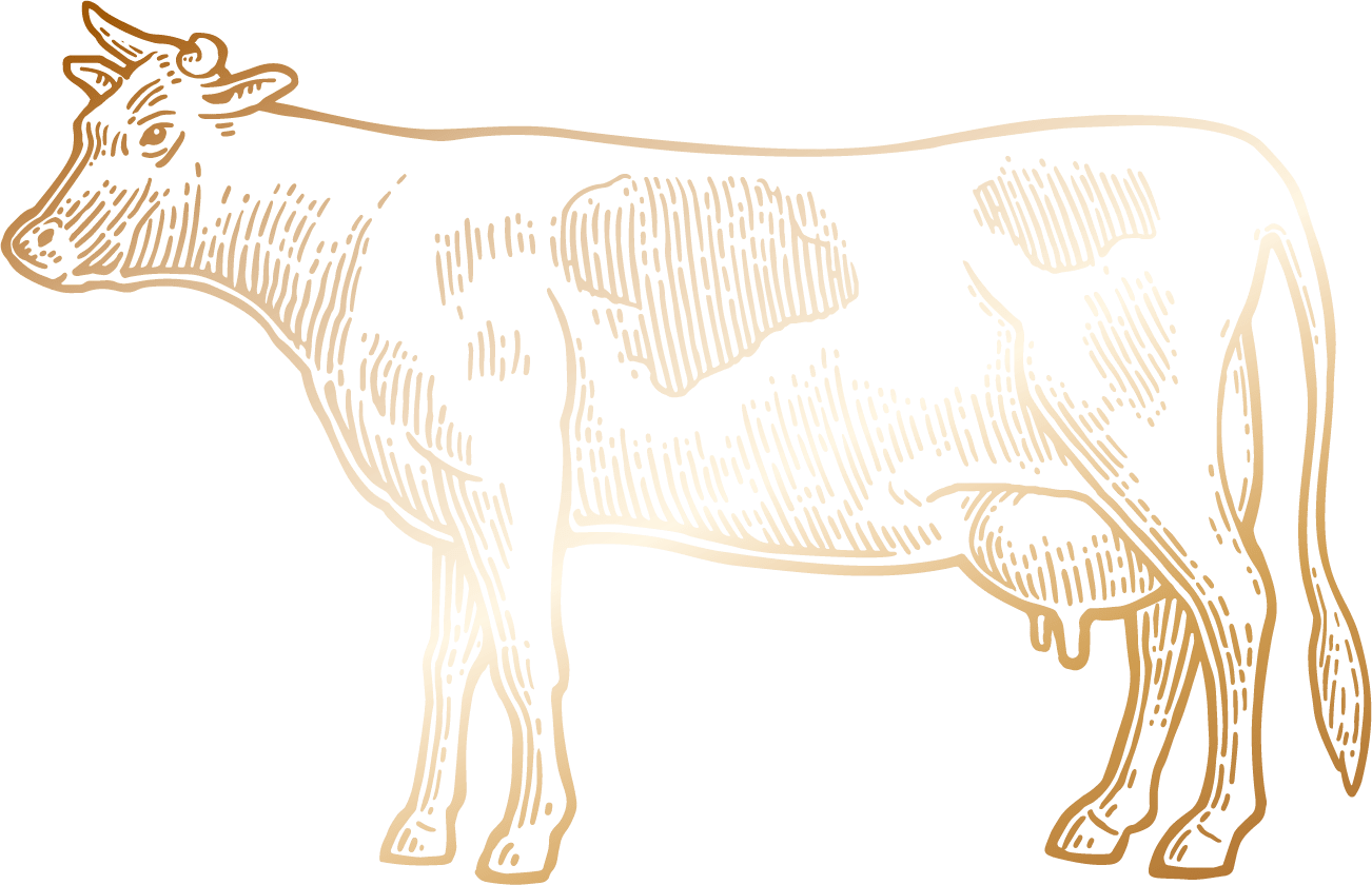 Bull4x_2